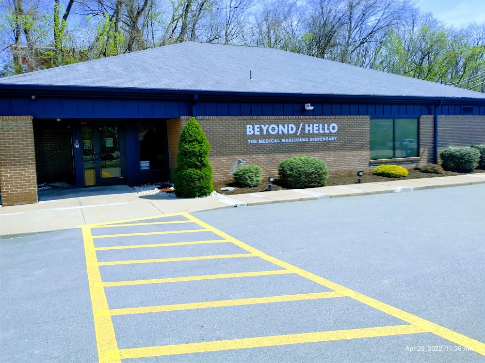 Beyond/Hello - Irwin photo 5