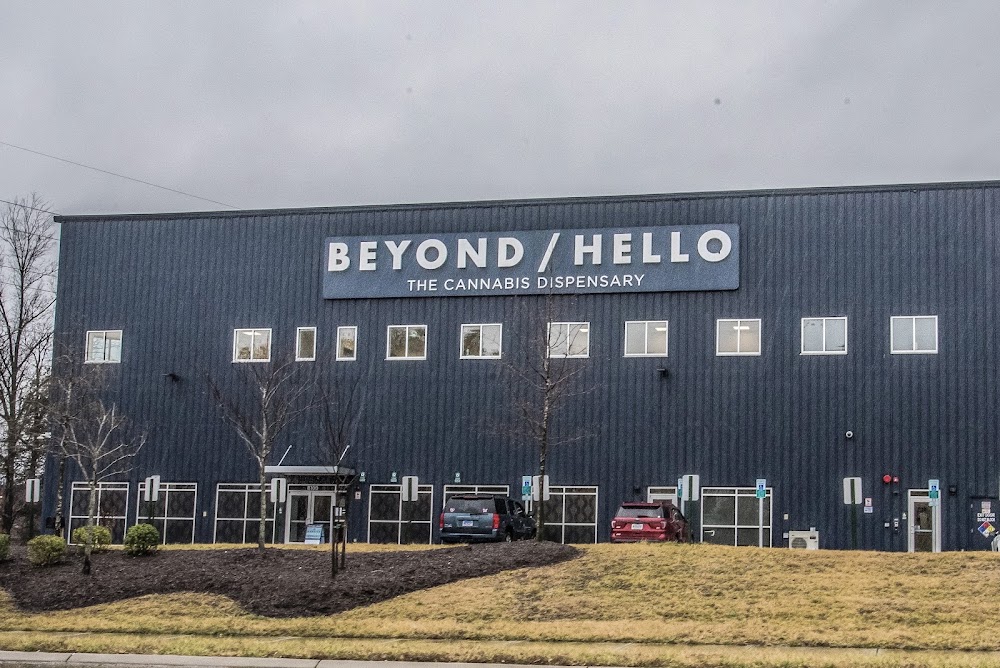 Beyond Hello Manassas photo 4