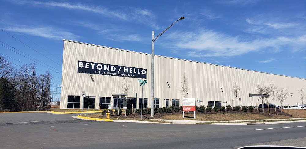 Beyond Hello Manassas photo 8