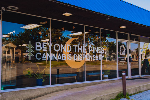 Beyond The Pines photo 1