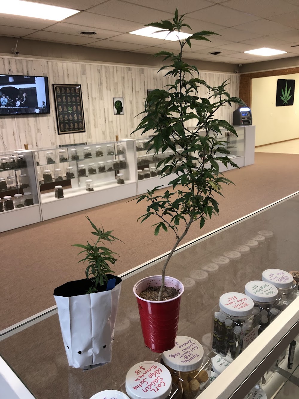 Big Buds Dispensary - Chandler photo 2