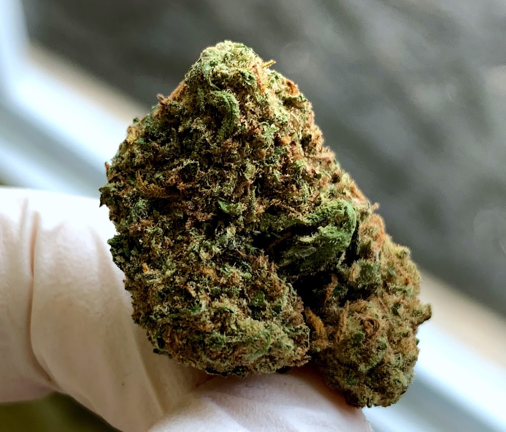 Big Buds Dispensary - Chandler photo 7