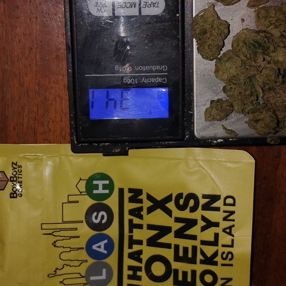 Big Gas Dispensary photo 2