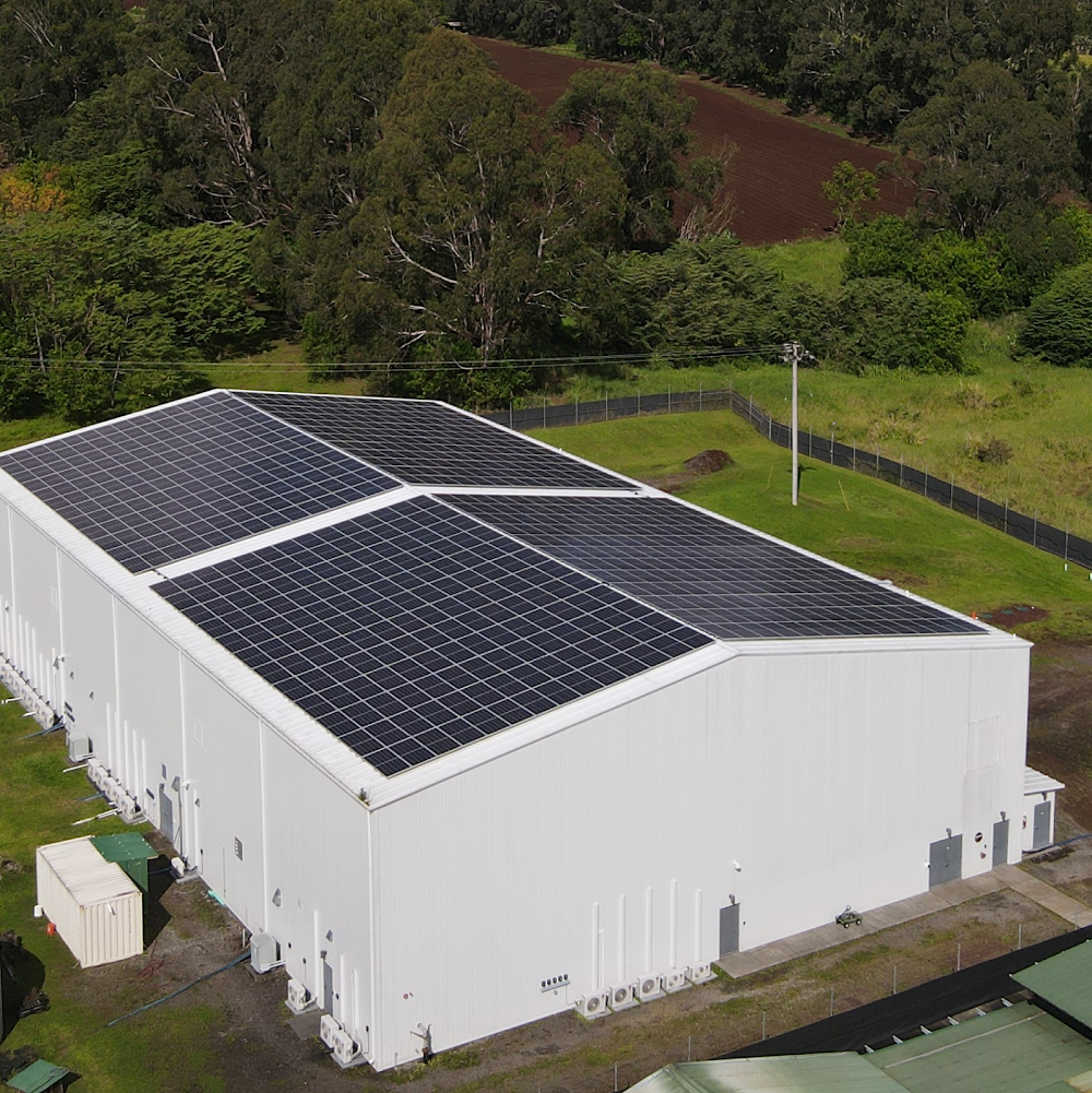 Big Island Grown - Hilo photo 7