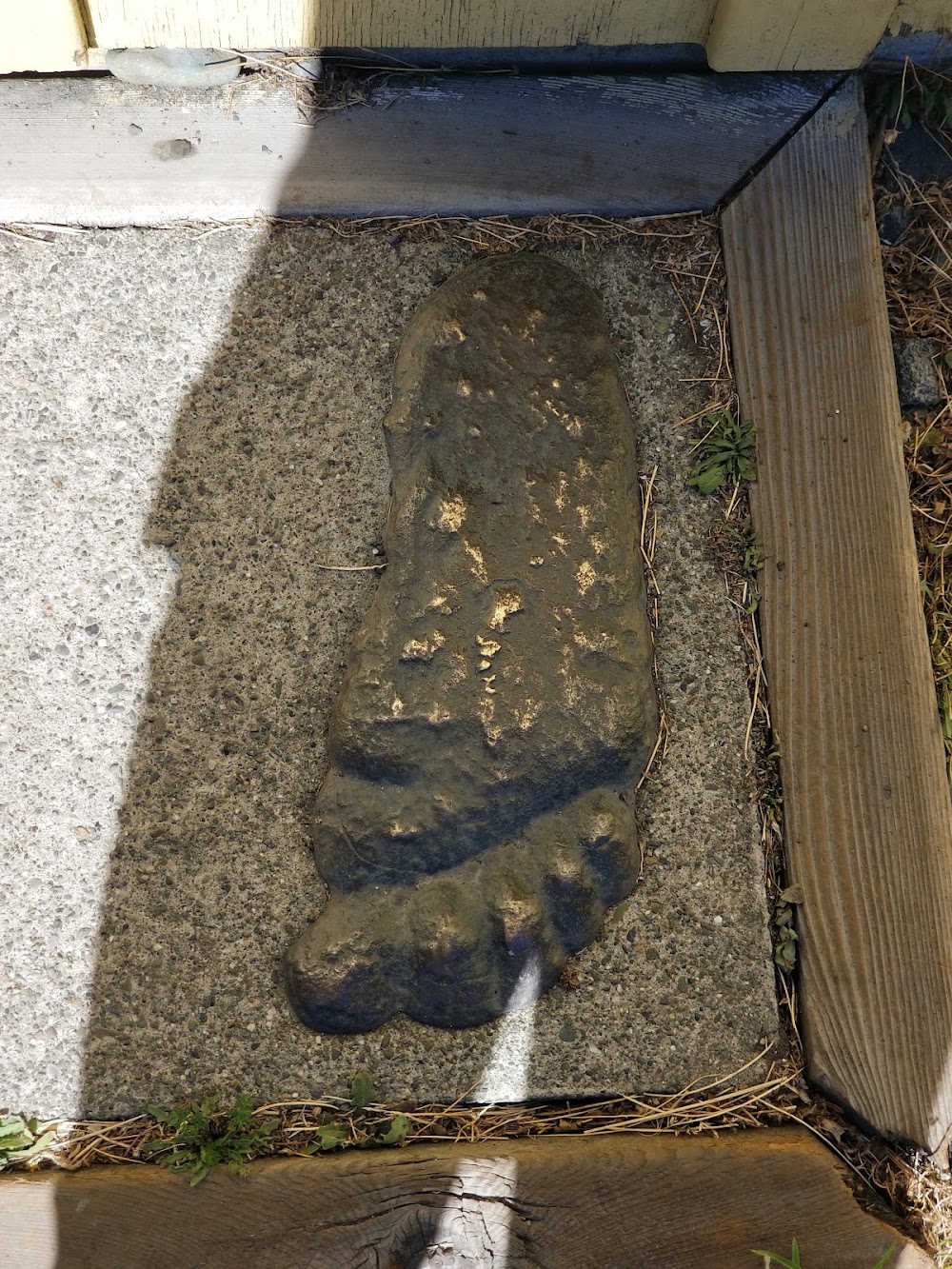 Bigfoot Cannabis Company photo 6