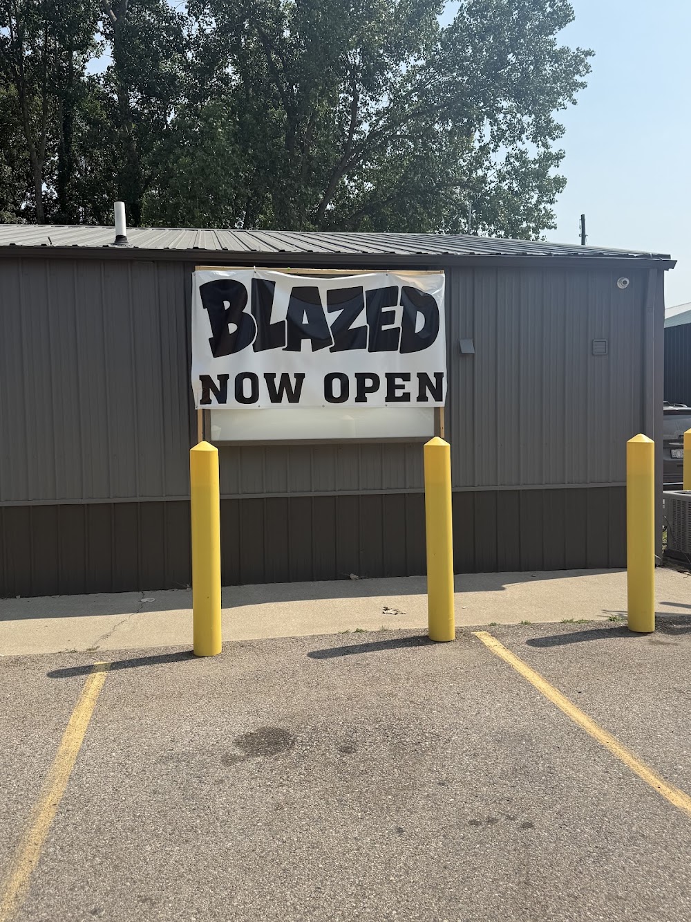 Blazed Cannabis photo 4