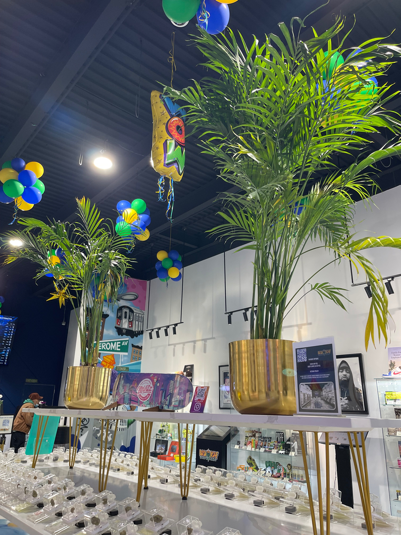 Bleu Leaf Dispensary photo 5