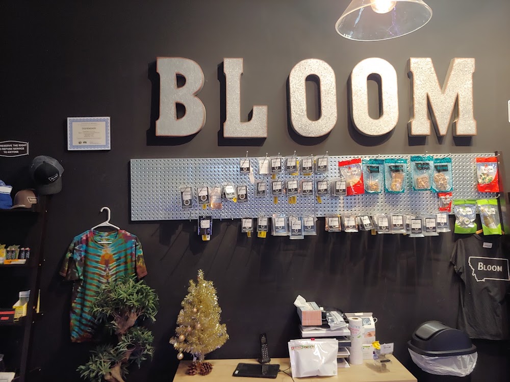 Bloom photo 1