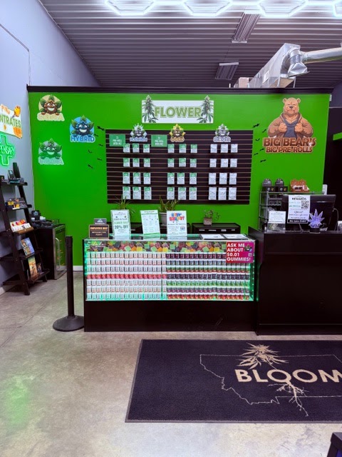 Bloom photo 5