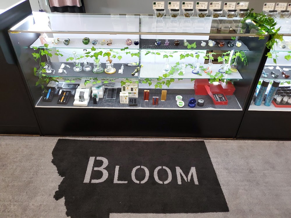 Bloom photo 5