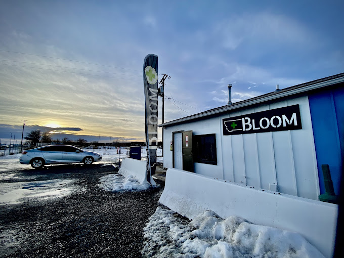 Bloom photo 2