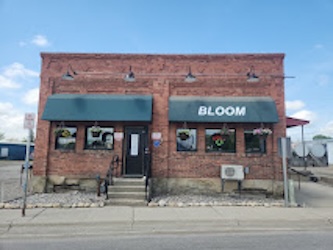 Bloom photo 1