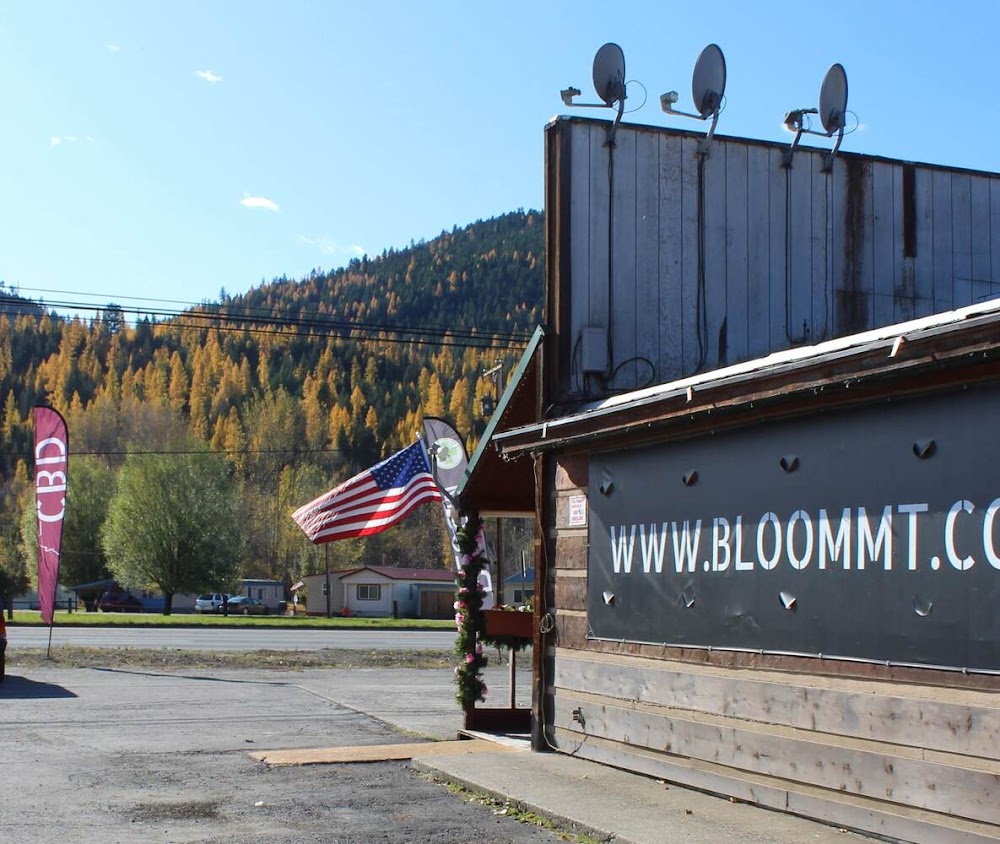 Bloom photo 3