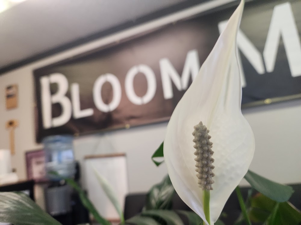 Bloom photo 8