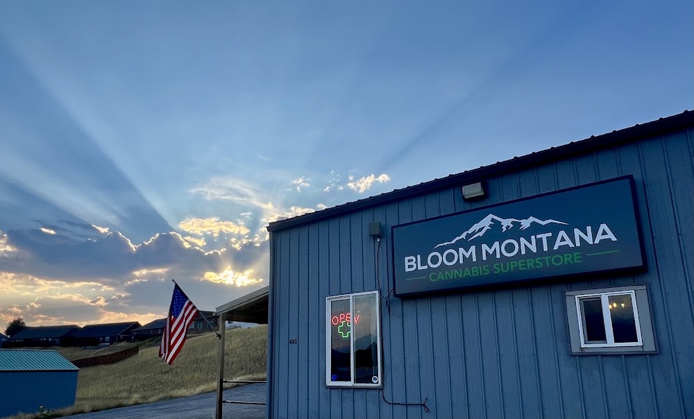 Bloom photo 4