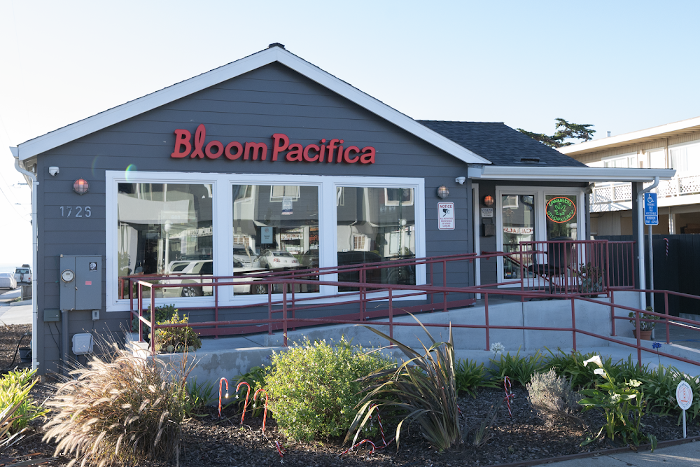 Bloom Room photo 1