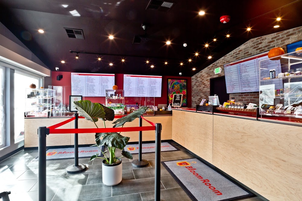 Bloom Room photo 2