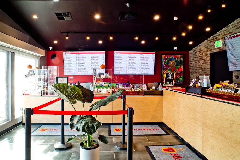 Bloom Room photo 5