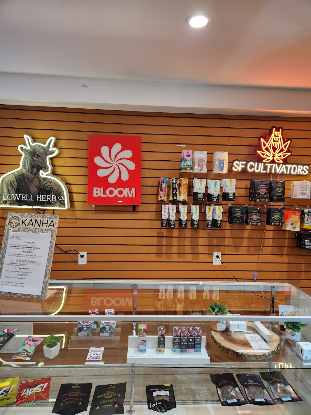 Bloomerang photo 6