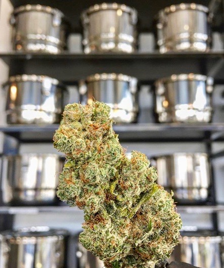 Blue Heron Dispensary photo 2