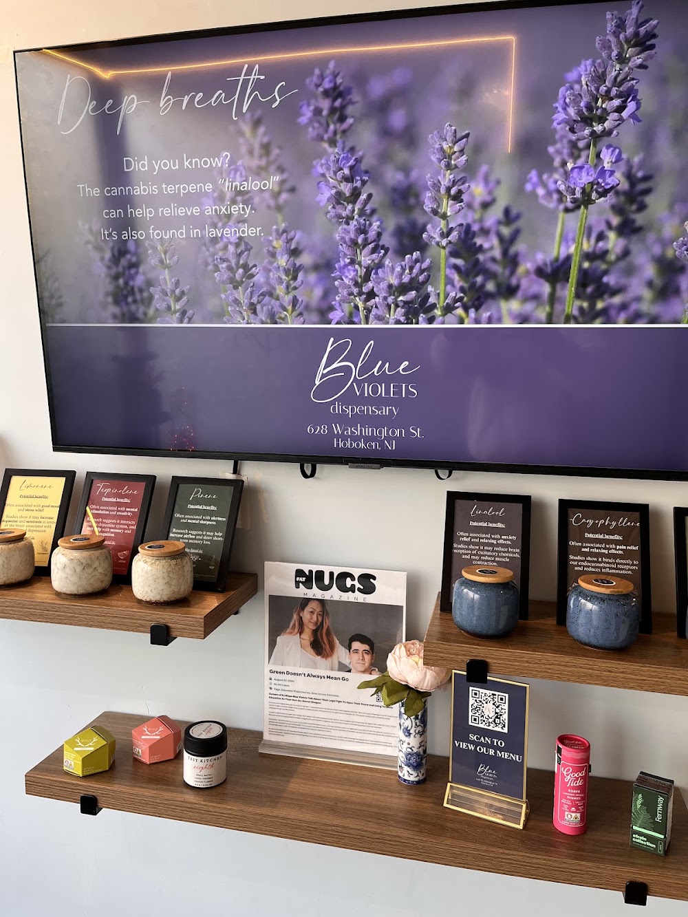 Blue Violets photo 7