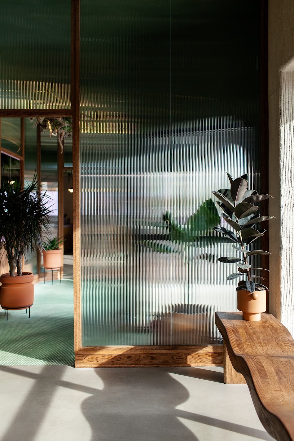 Botanica photo 4