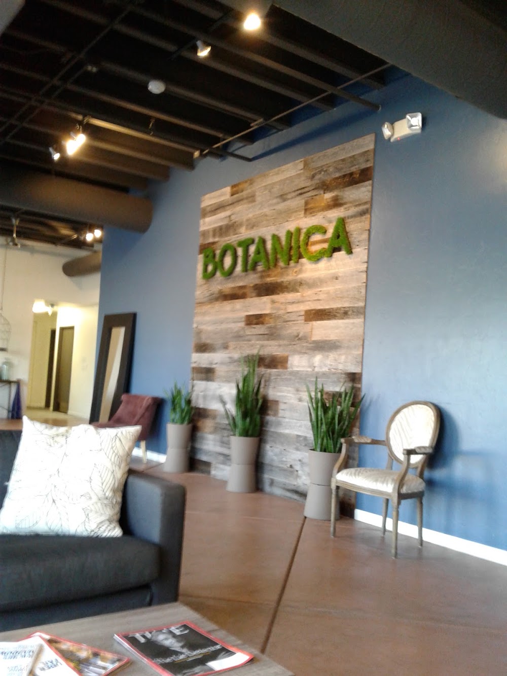 Botanica photo 7
