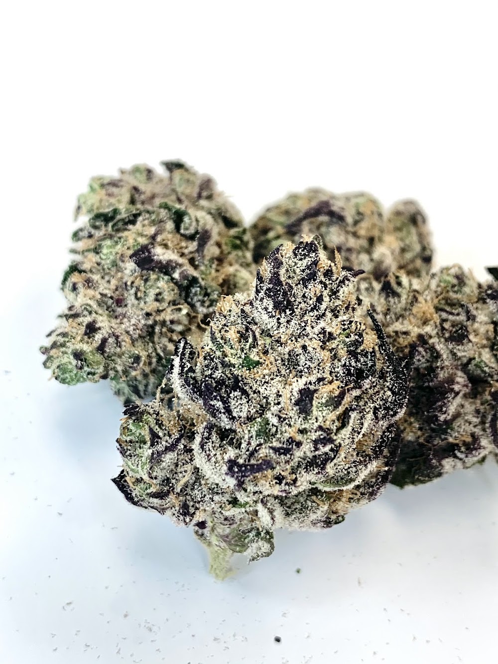 Botanical Cloud CO. photo 5