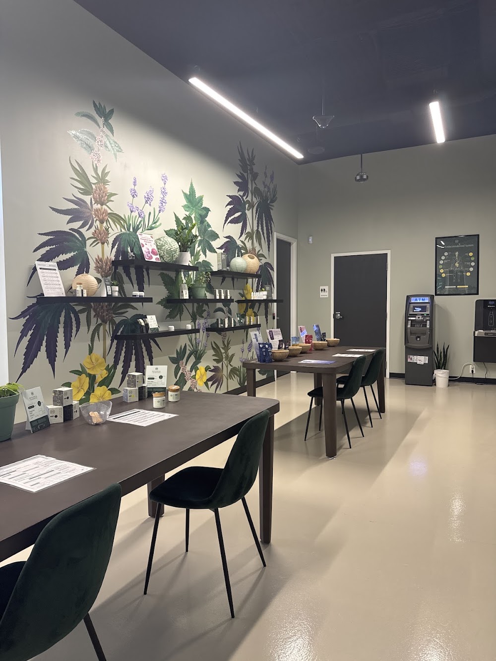 Botanical Sciences Chamblee photo 2