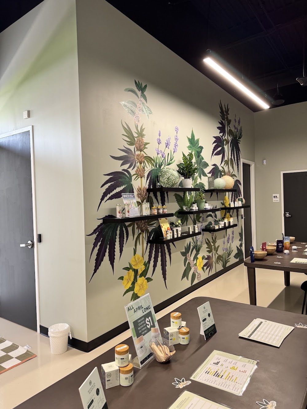 Botanical Sciences Chamblee photo 8