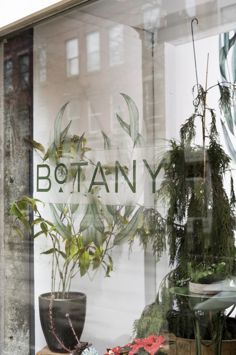 Botany photo 3