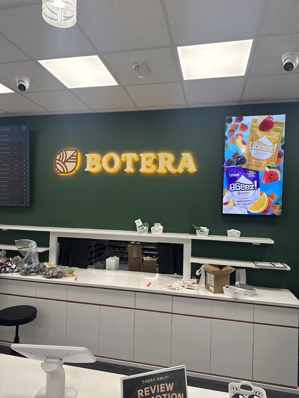 Botera Harrison photo 6