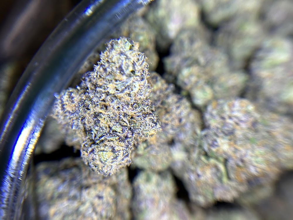 Breaking Bud Dispensary photo 8