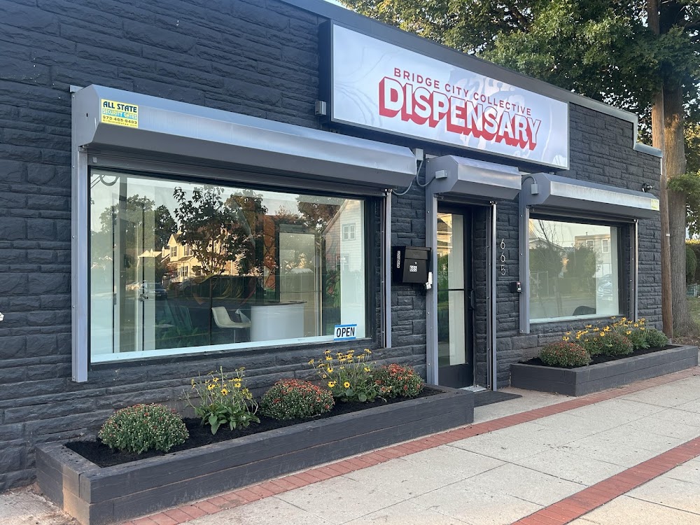 Bridge City Collective Dispensary photo 1