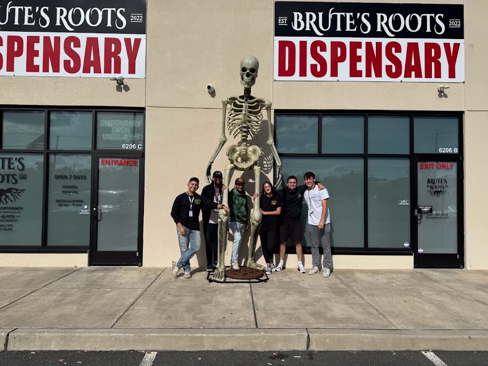Brute's Roots photo 4