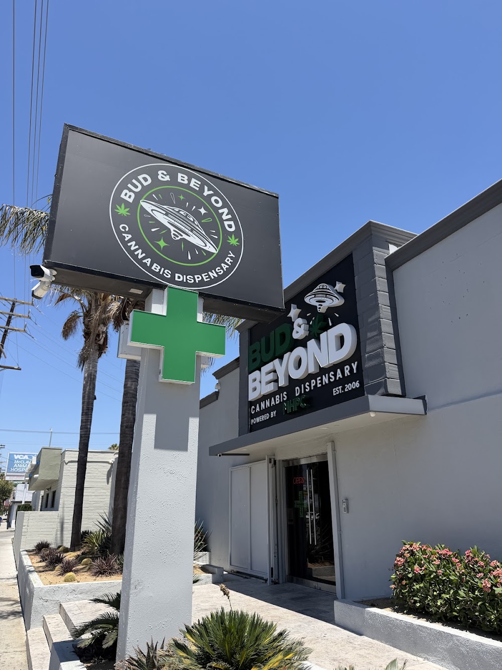 Bud And Beyond photo 7