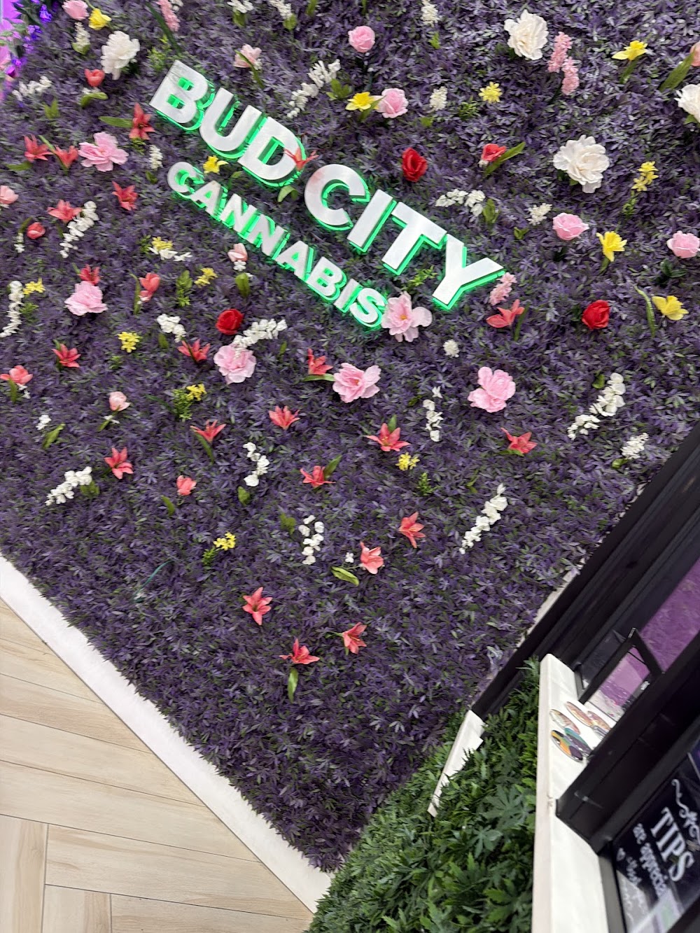 Bud City Cannabis photo 4