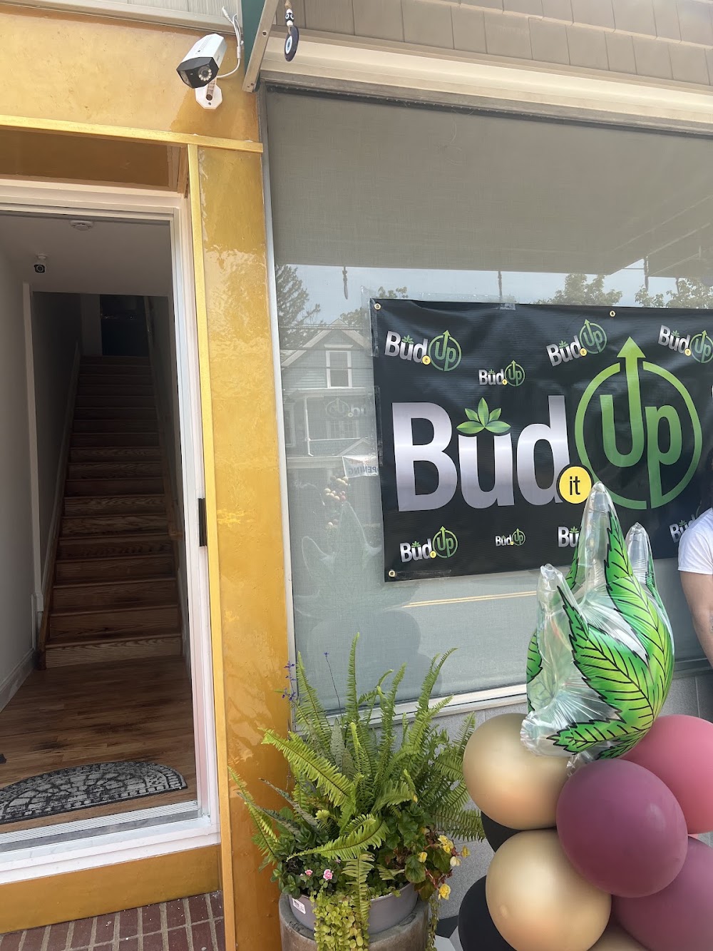 Bud It Up photo 1