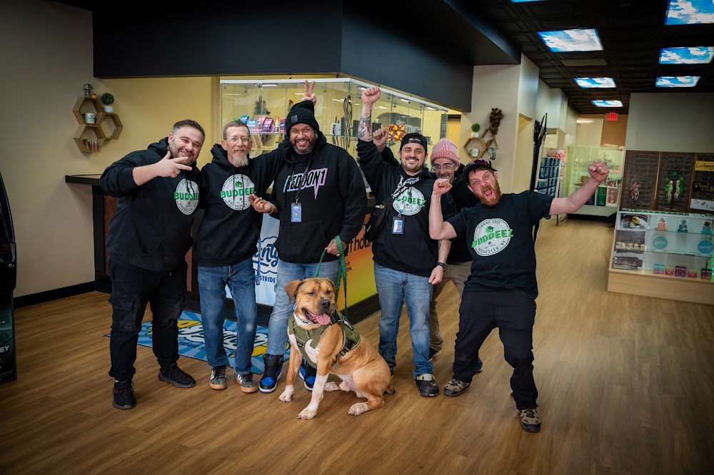 Buddeez photo 7