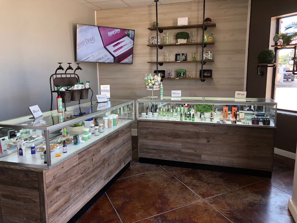 Buddies Cannabis CO photo 7