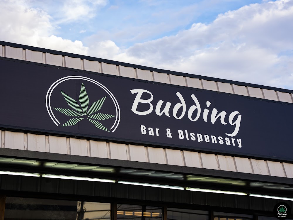 Budding Bar & Dispensary photo 4