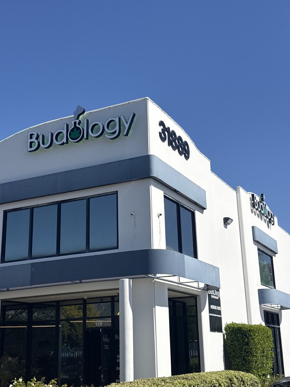 Budology photo 1