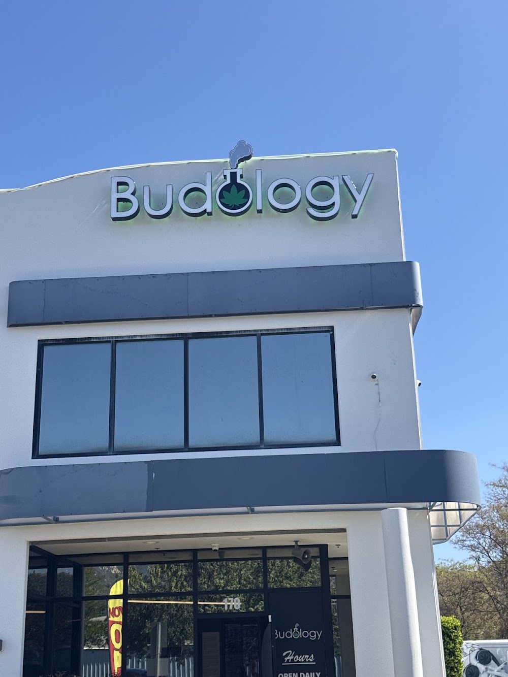Budology photo 8