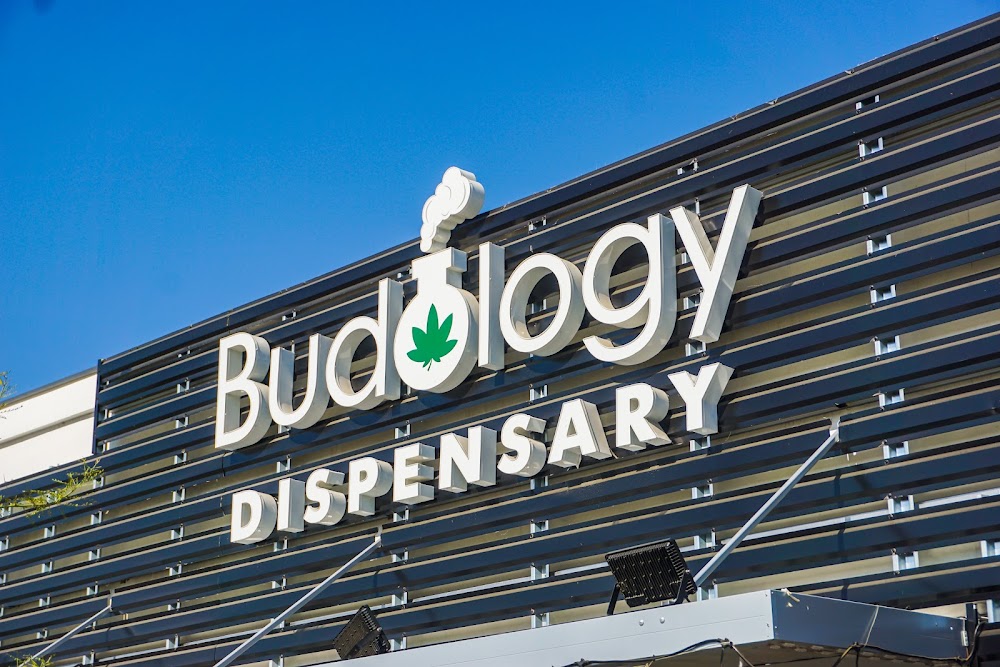 Budology photo 1