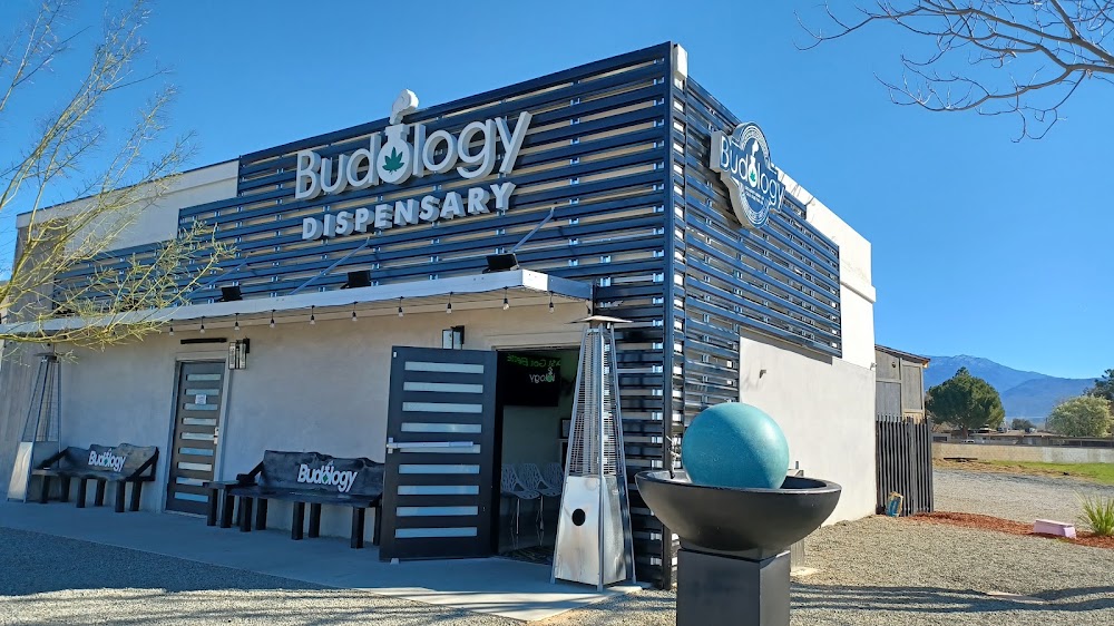 Budology photo 6