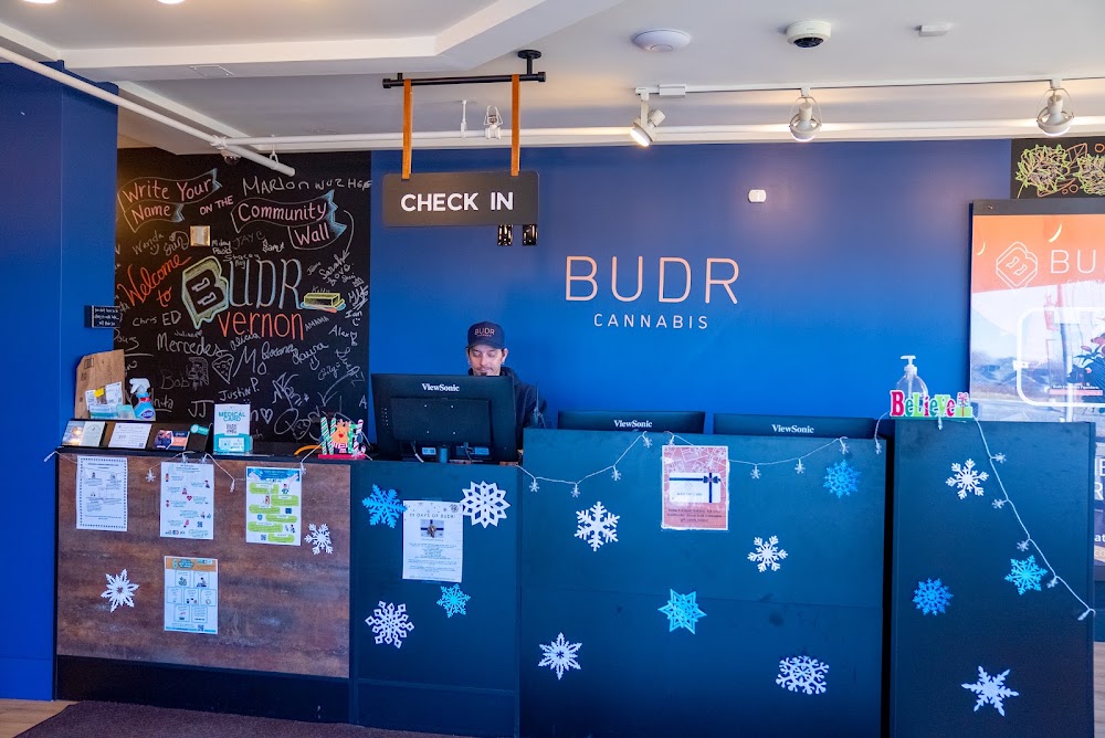 Budr Cannabis photo 3
