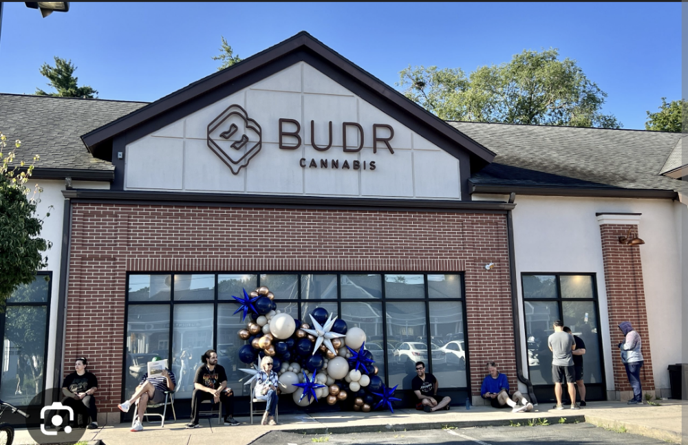 Budr Cannabis photo 4