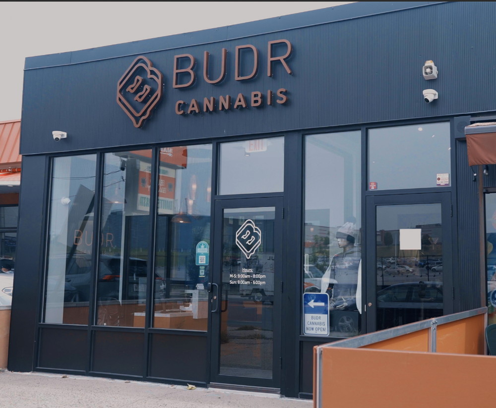 Budr Cannabis photo 4