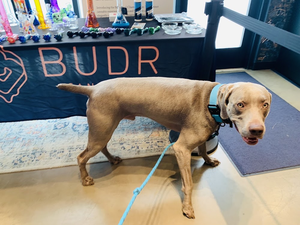 Budr Hartford Holding photo 4