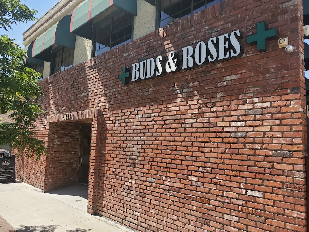 Buds & Roses Collective photo 8